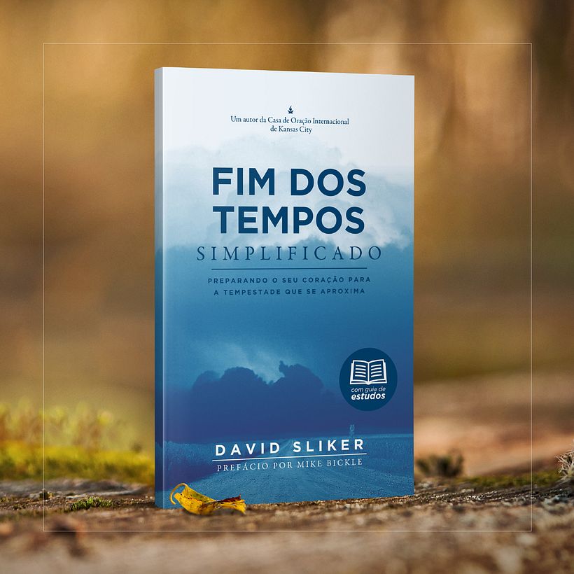 Las últimas tapas de libros que hice 4