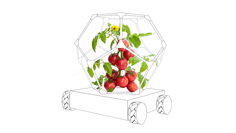 Fluid Farm:  Herbie -1