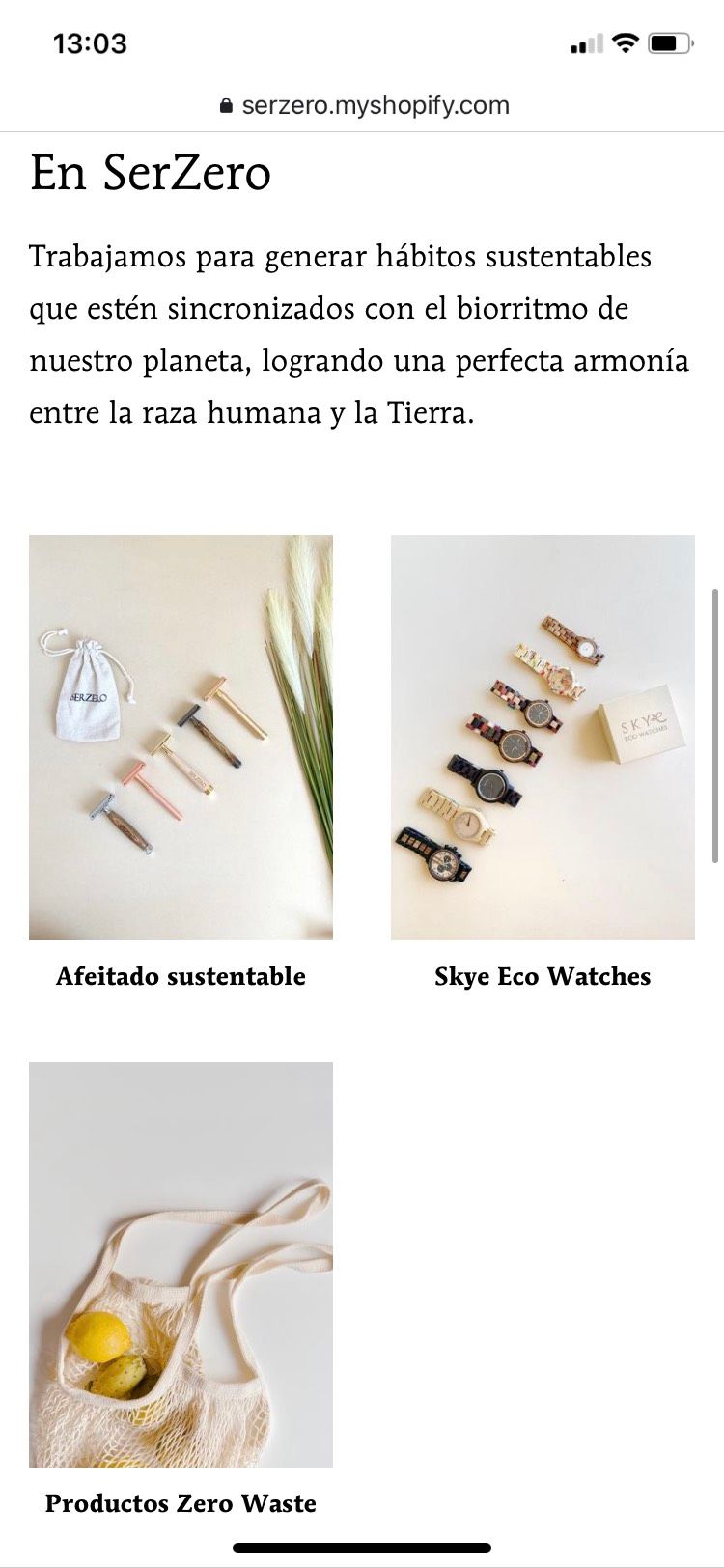 Proyecto tienda Shopify SerZero 1