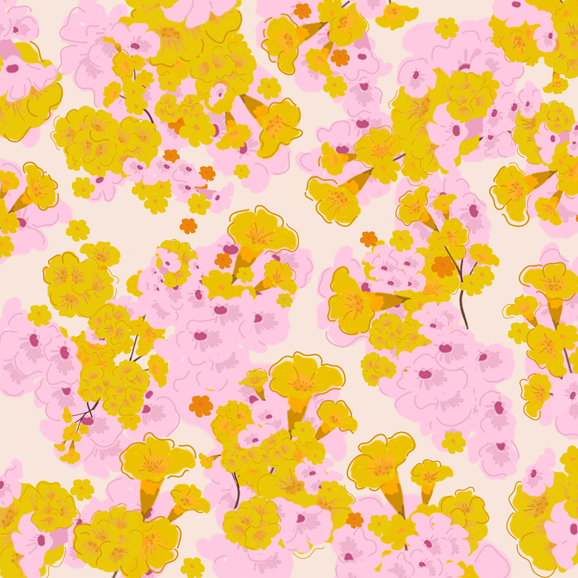 Un verano en Tauramena 1