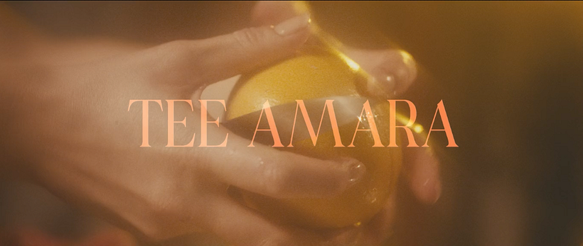 Visual ID for music video -1