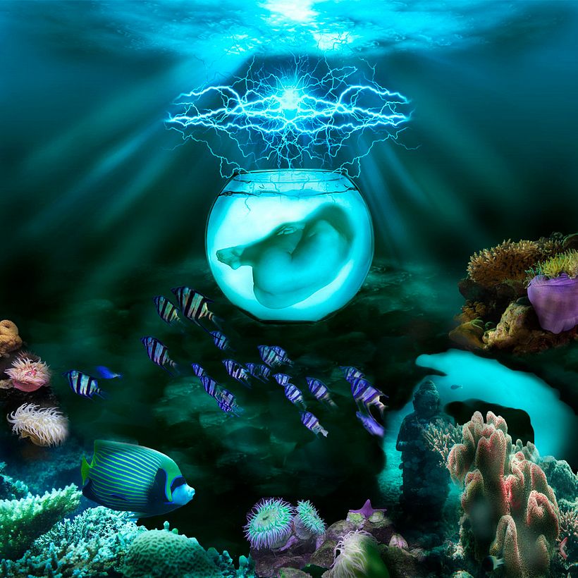 "NACIMIENTO" - Mi Proyecto del curso: Secretos del fotomontaje y el retoque creativo -1