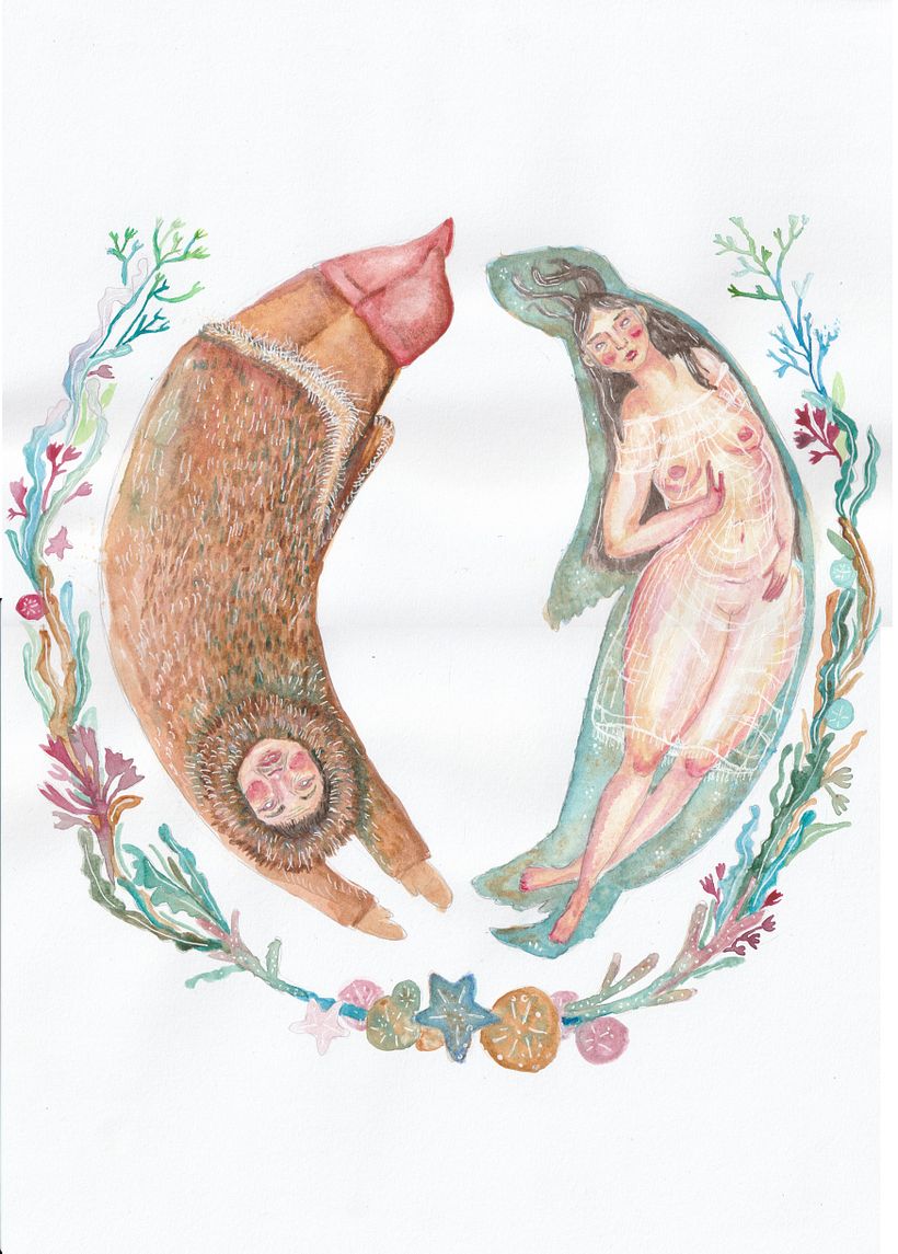 Selkie. My project in Introduction to Children’s Illustration course 3
