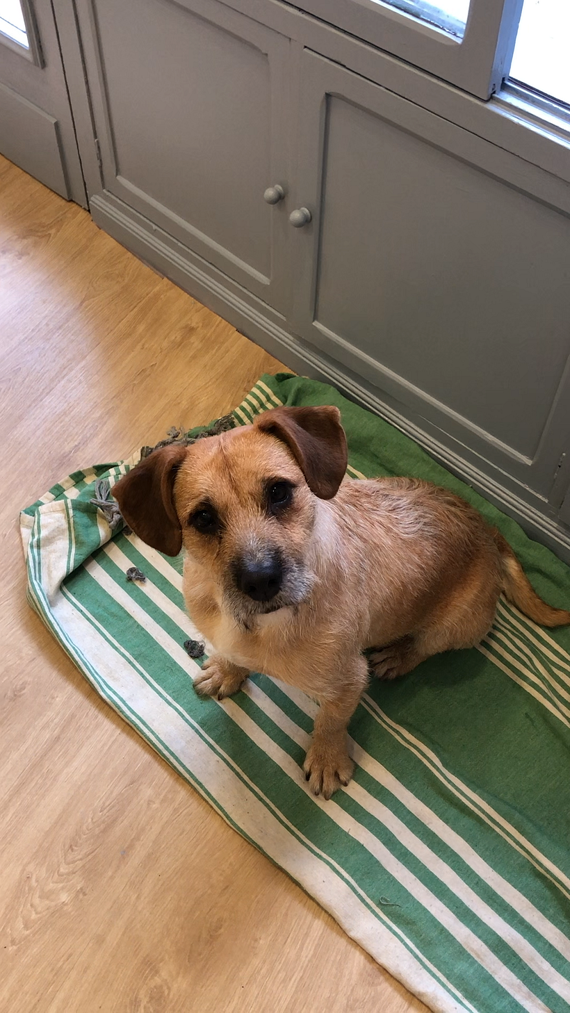 Pepa é a companheira inseparável de Silvia