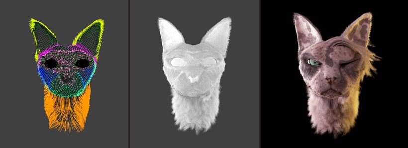 URBAN CATS 12