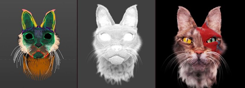 URBAN CATS 6