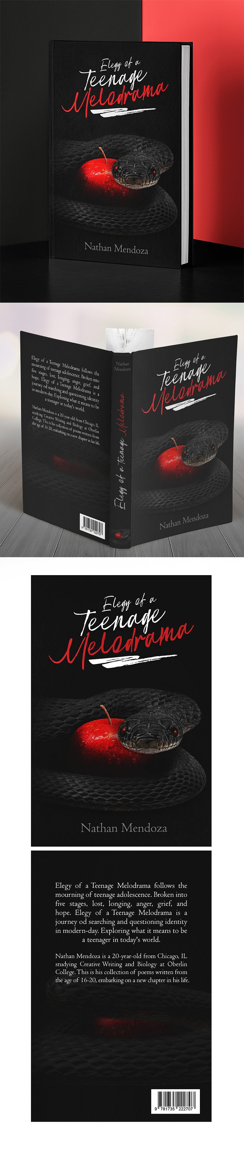 Elegy of a Teenage Melodrama - Book Cover Design 2