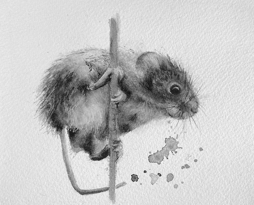 The mouse is inspired by a photograph that you can discover in the project.