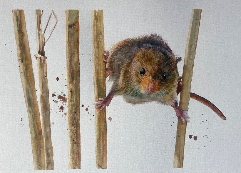 Mouse whiskers, in white gouache.