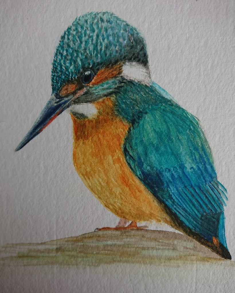 My project in Artistic Watercolor Techniques for Illustrating Birds course 1
