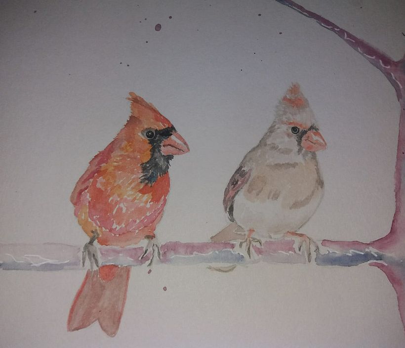 Mi Proyecto del curso: Acuarela artística para ilustración de aves, aves de Argentina 2