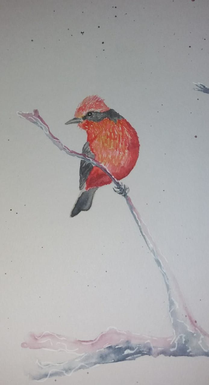 Mi Proyecto del curso: Acuarela artística para ilustración de aves, aves de Argentina 3
