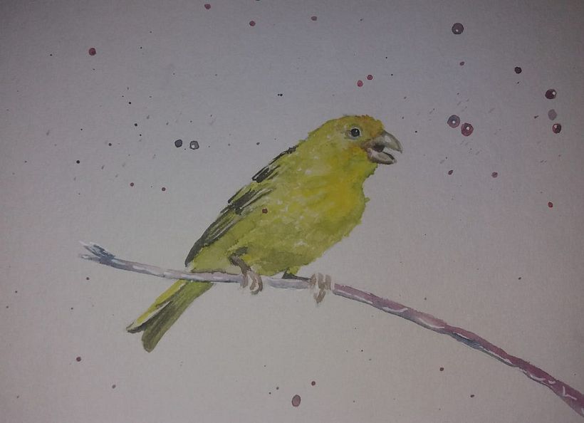 Mi Proyecto del curso: Acuarela artística para ilustración de aves, aves de Argentina 4