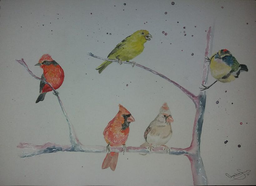 Mi Proyecto del curso: Acuarela artística para ilustración de aves, aves de Argentina 5