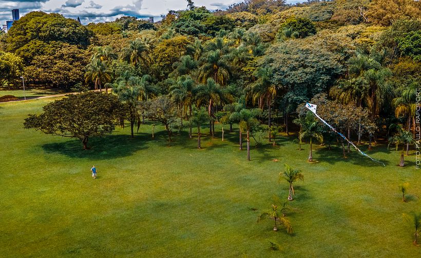 Meu projeto do curso: Introdução à fotografia aérea com drones 0