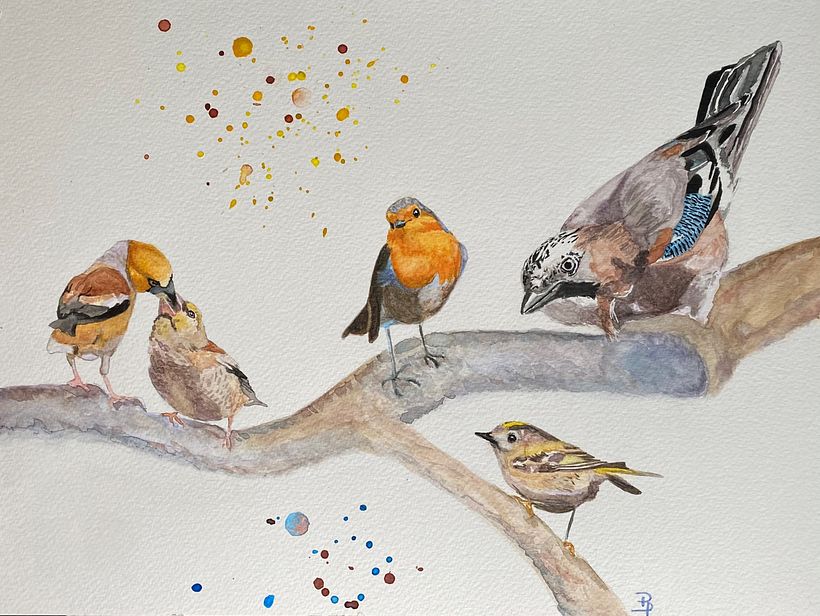 Welcome little one. - BD