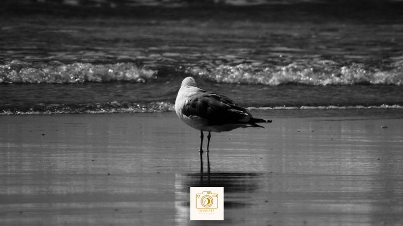 “Black and white can transform a scene into something magical.” 