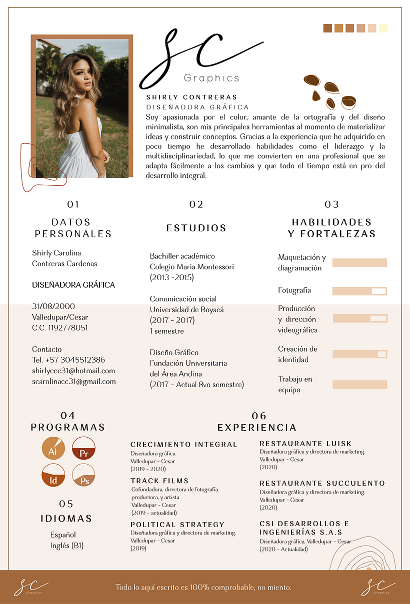 Mi cv 0