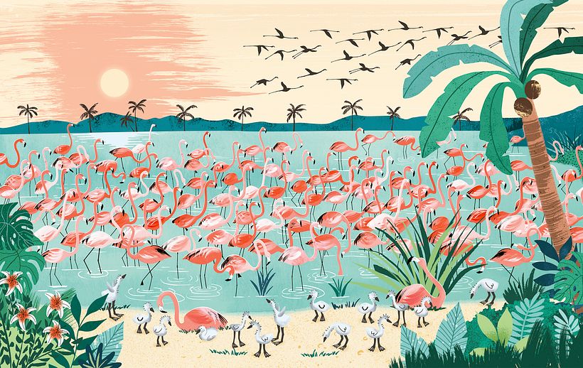 Álbum ilustrado, "Uno, Un Millón" 3