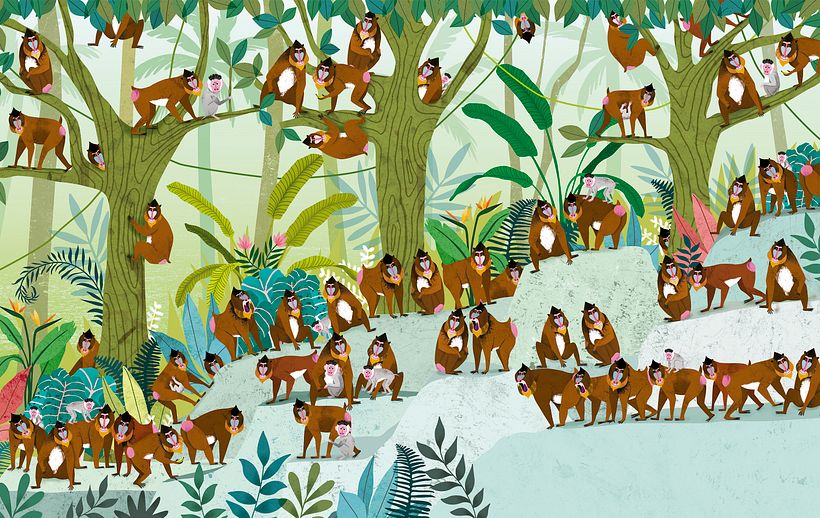 Álbum ilustrado, "Uno, Un Millón" 4