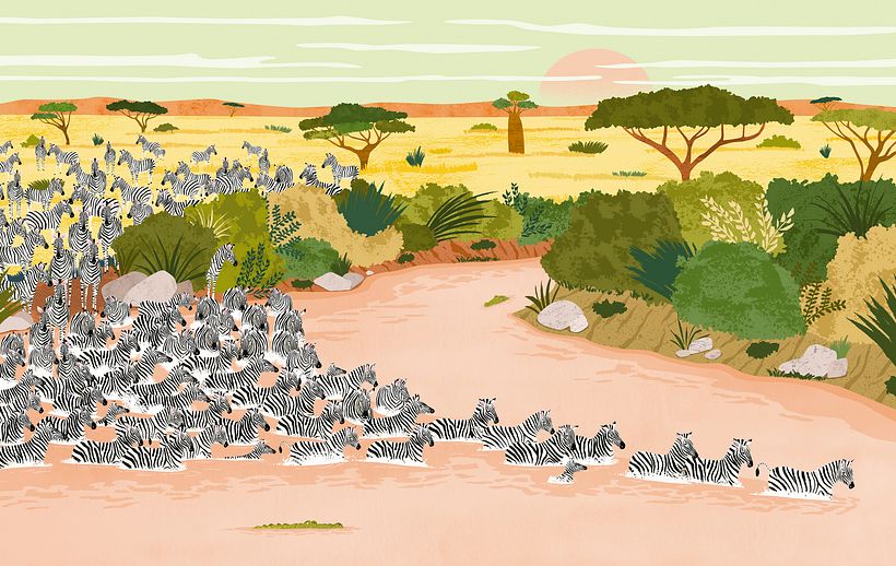 Álbum ilustrado, "Uno, Un Millón" 5