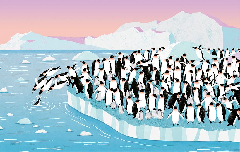 Álbum ilustrado, "Uno, Un Millón" 6