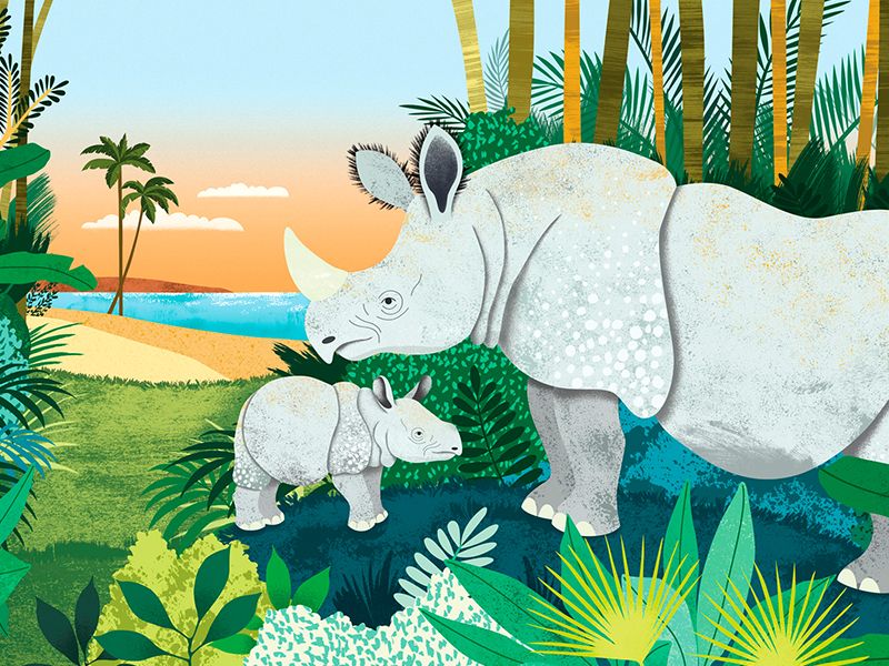 Álbum ilustrado, "Uno, Un Millón" 8