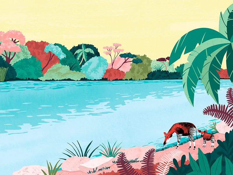 Álbum ilustrado, "Uno, Un Millón" 9