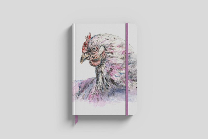 Humans and animals 0