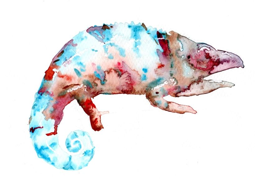 El camaleón de Animalario. Julián Ariza.