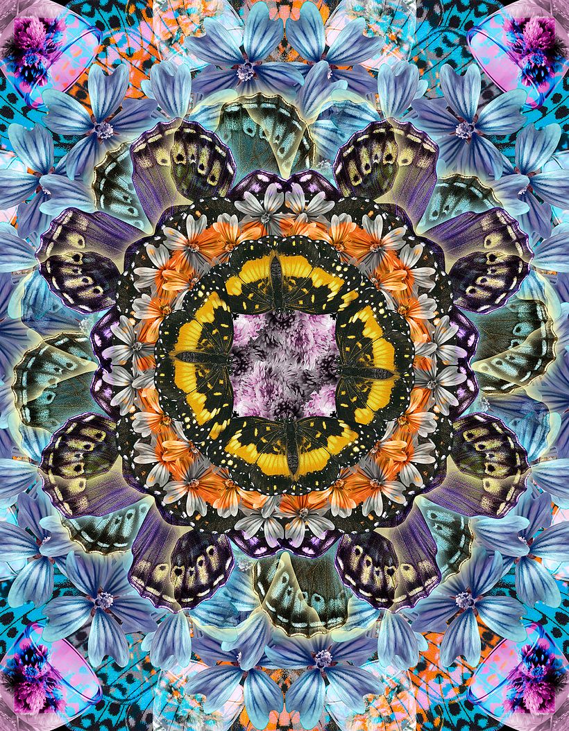 Pappenpop pattern designs, for fashion brand Custo-Barcelona 4