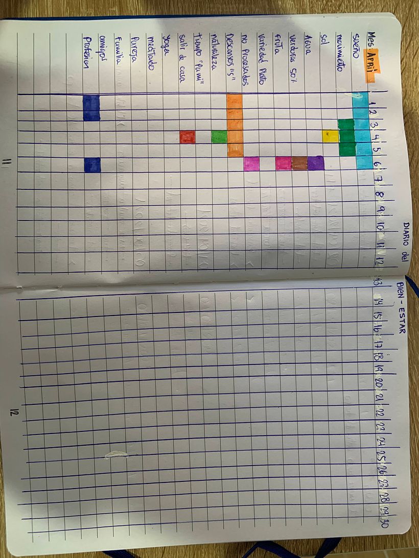 Diario de Bien-Estar hecho dentro del BuJo para mejor y rápido seguimiento
