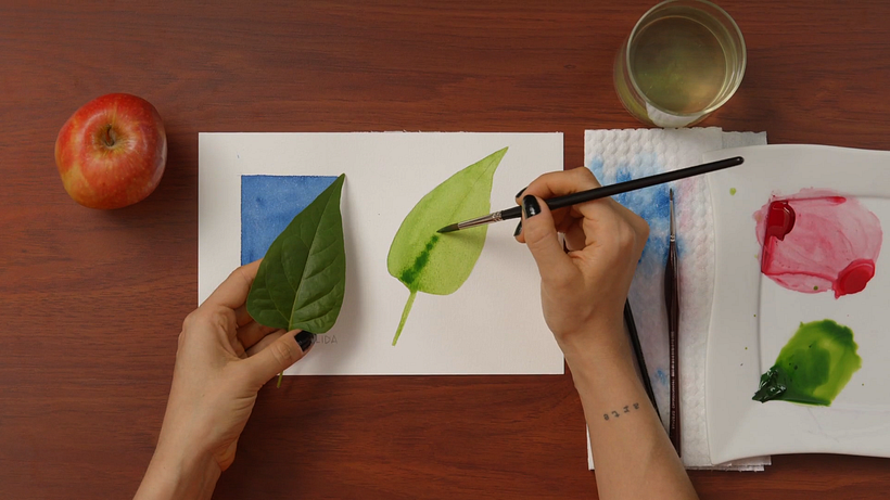 Observation is the most important skill for anyone creating botanical art