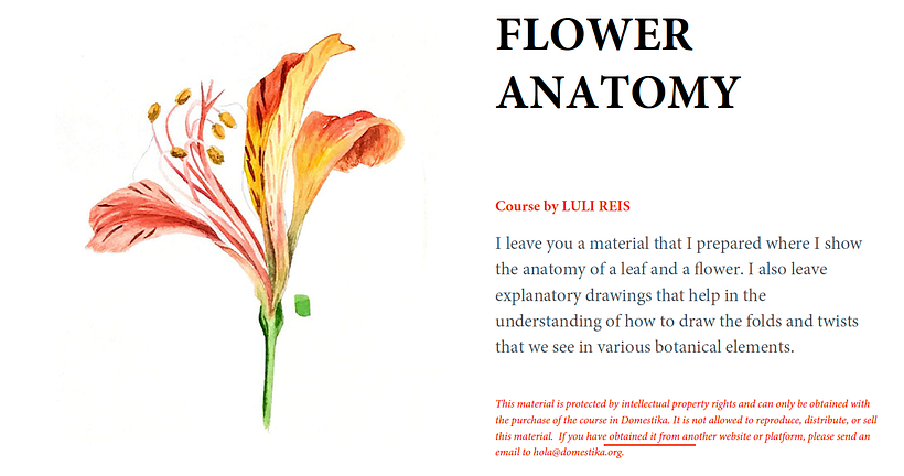 Preview of the 6 pages PDF preview