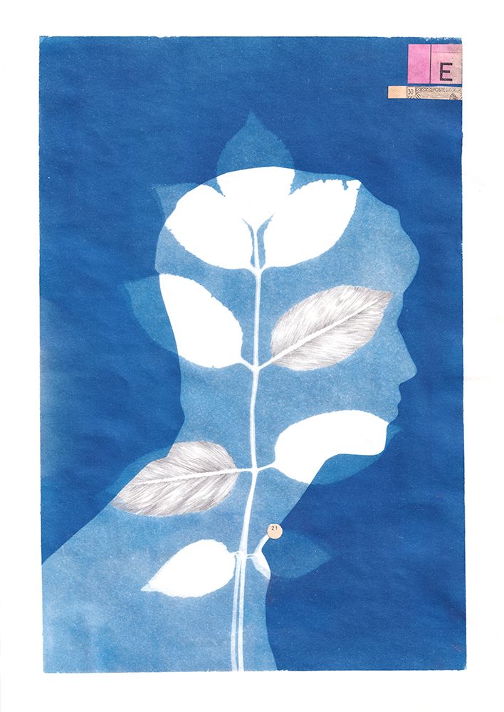 Cyanotype -1