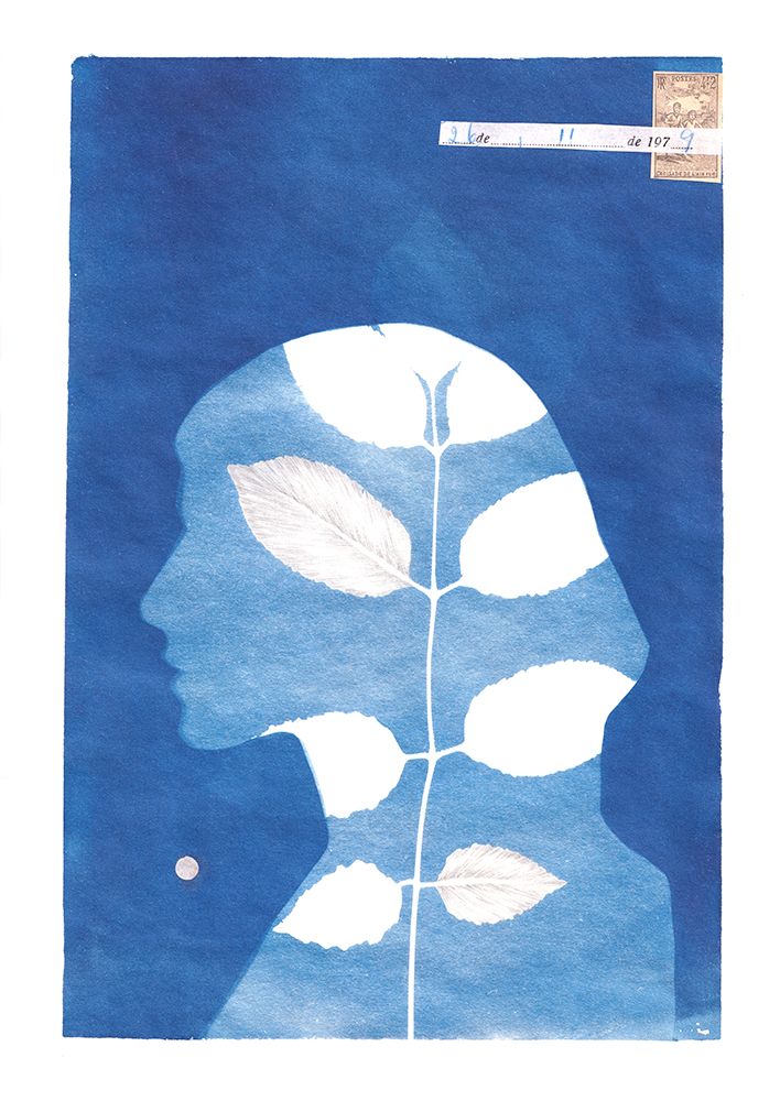 Cyanotype 0