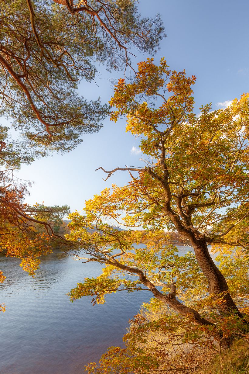 Color of Seasons -1