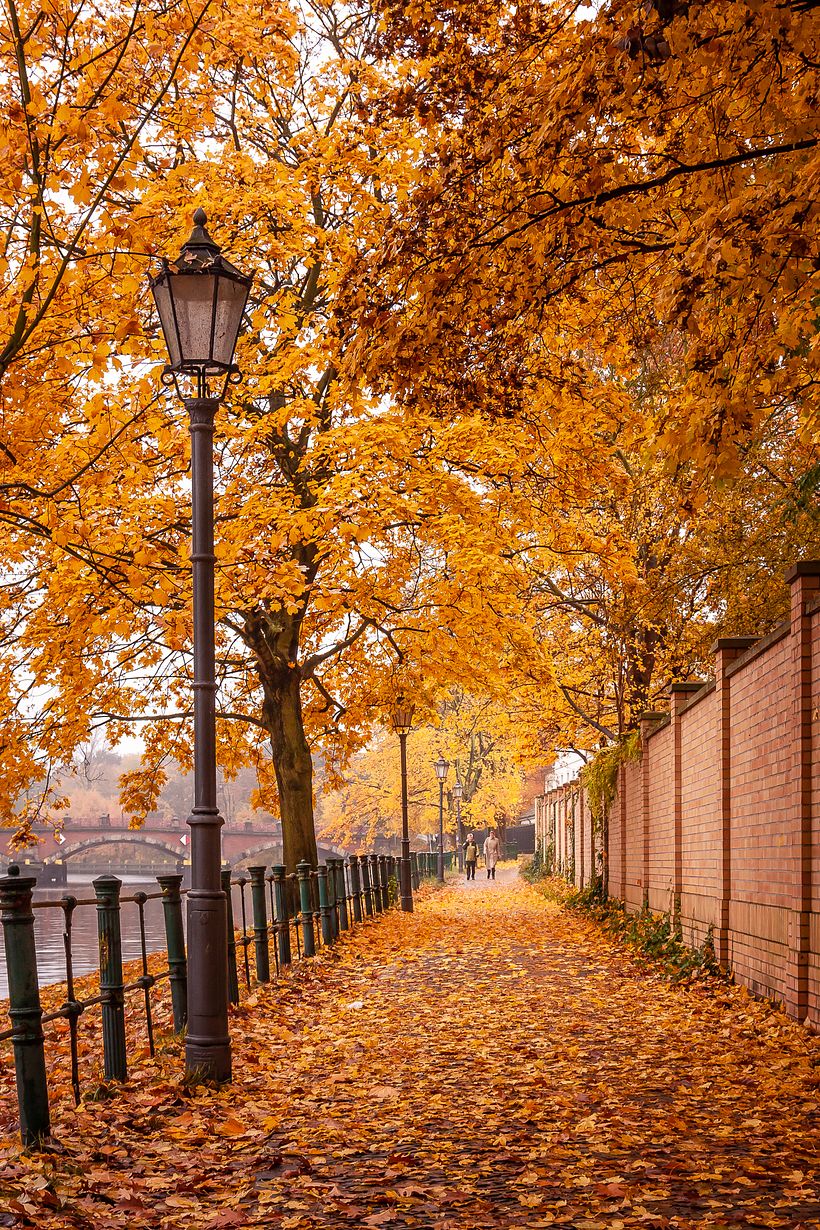 Color of Seasons 9