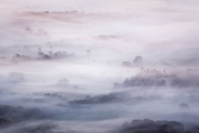 Landscape -1