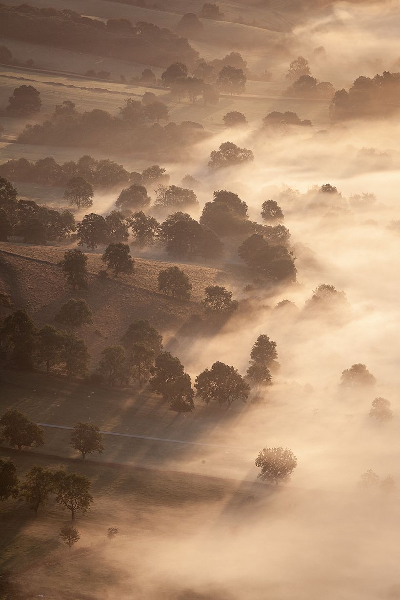 Landscape 3