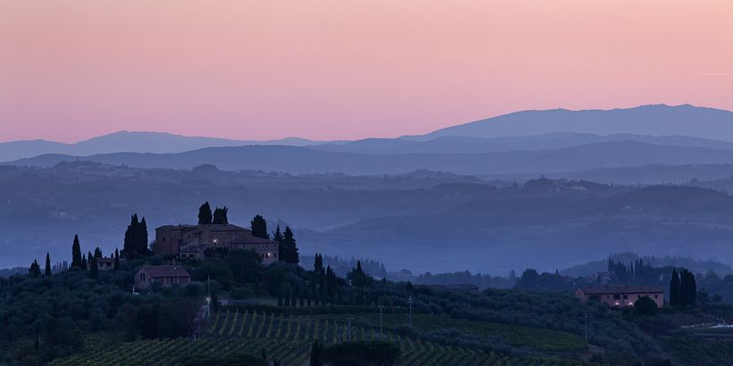 Landscape 11