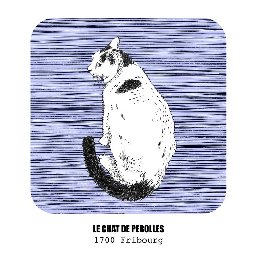 In honor to one my favorite cat in our neighborhood .From an sketch and edited in Affinity photo