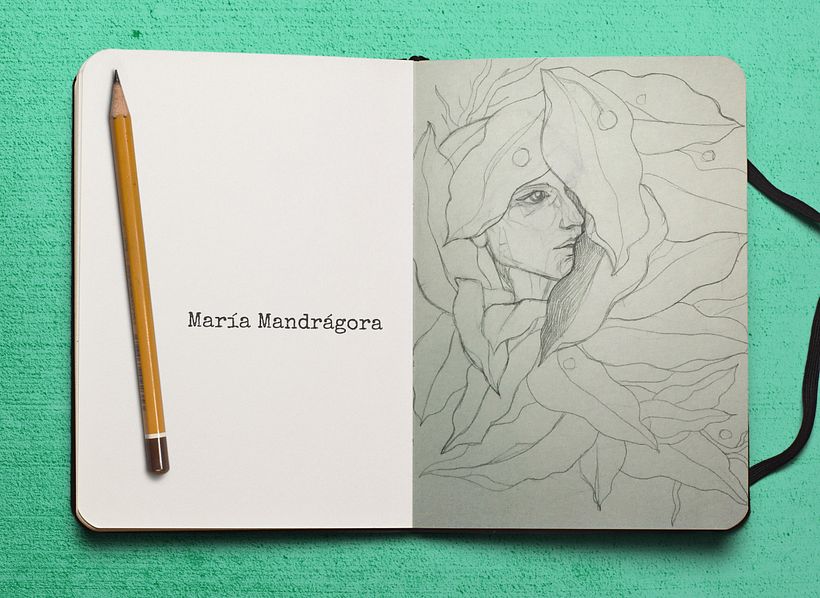 Primer boceto