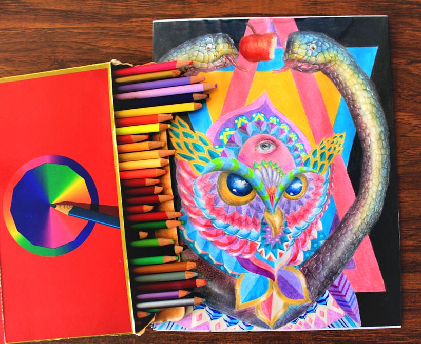 Mis animales coloridos 2