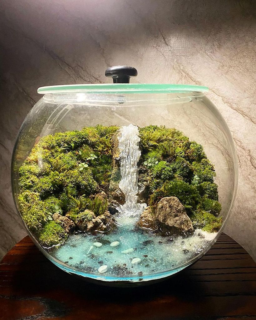 A fantastical creation by Terratopia.