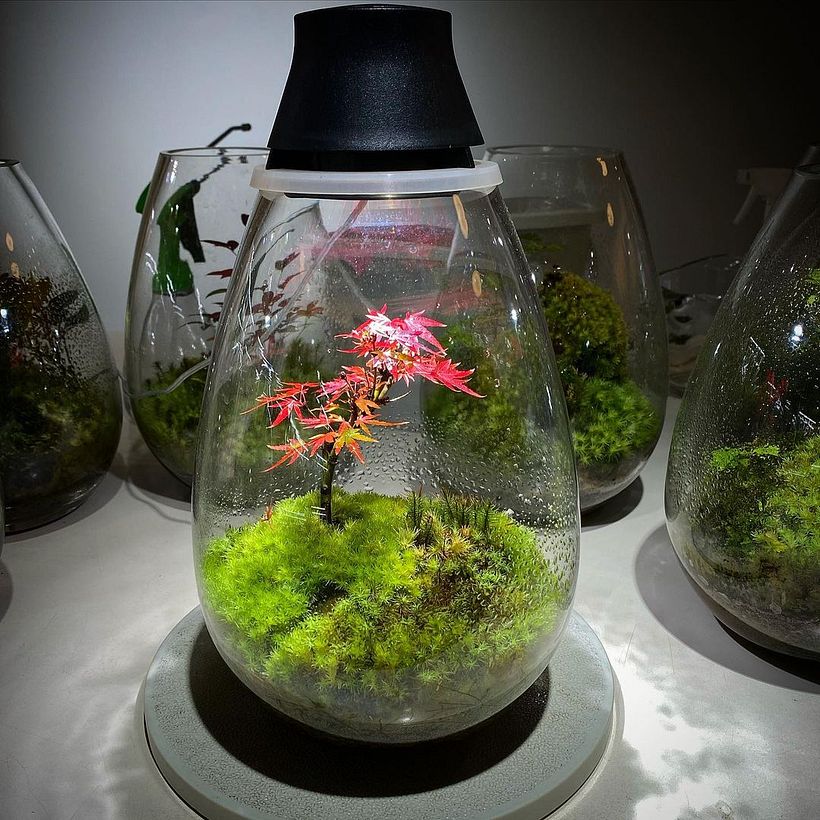 By regulating the intensity of the light, you can make a landscape change season. 