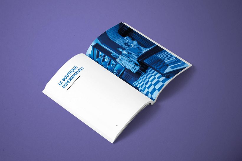 LUX Luxury User Experience for sale advisor only 1