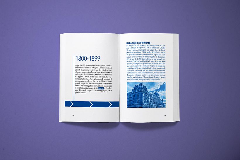 LUX Luxury User Experience for sale advisor only 5