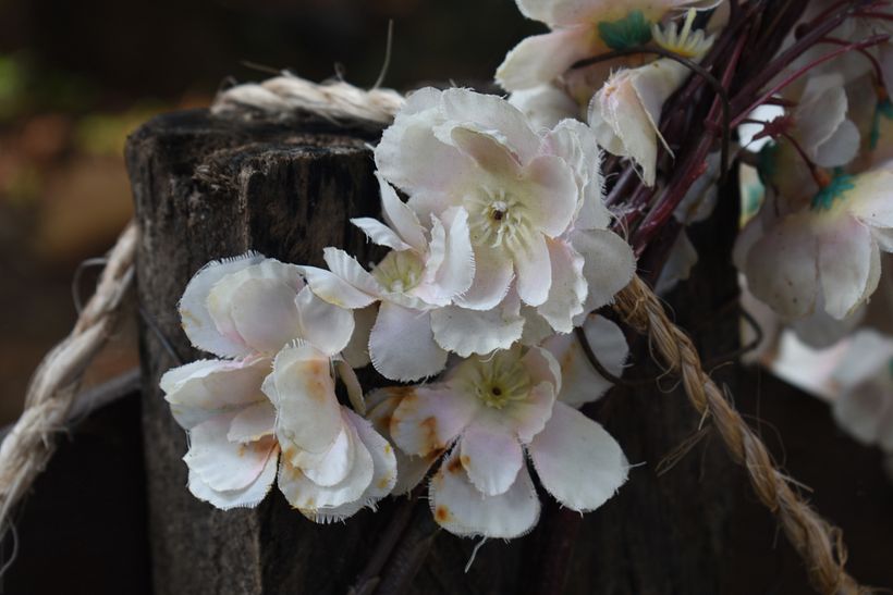 "Ancient flower bridge"  5