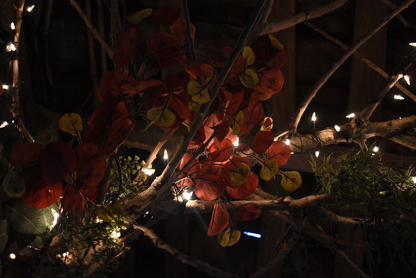 "Ancient flower bridge"  11